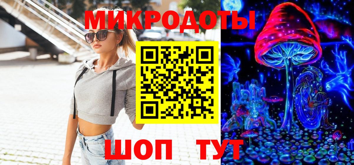 Галлюциногенные грибы Psilocybe Белорецк