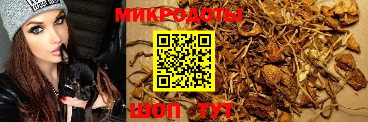 Псилоцибиновые грибы Cubensis  Вход с VPN  Белорецк  Псилоцибиновые грибы мухоморы 